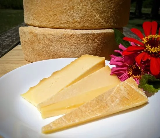 Toma Cheese | Artisan Cheese from Cherry Grove Farm — Cherry Grove